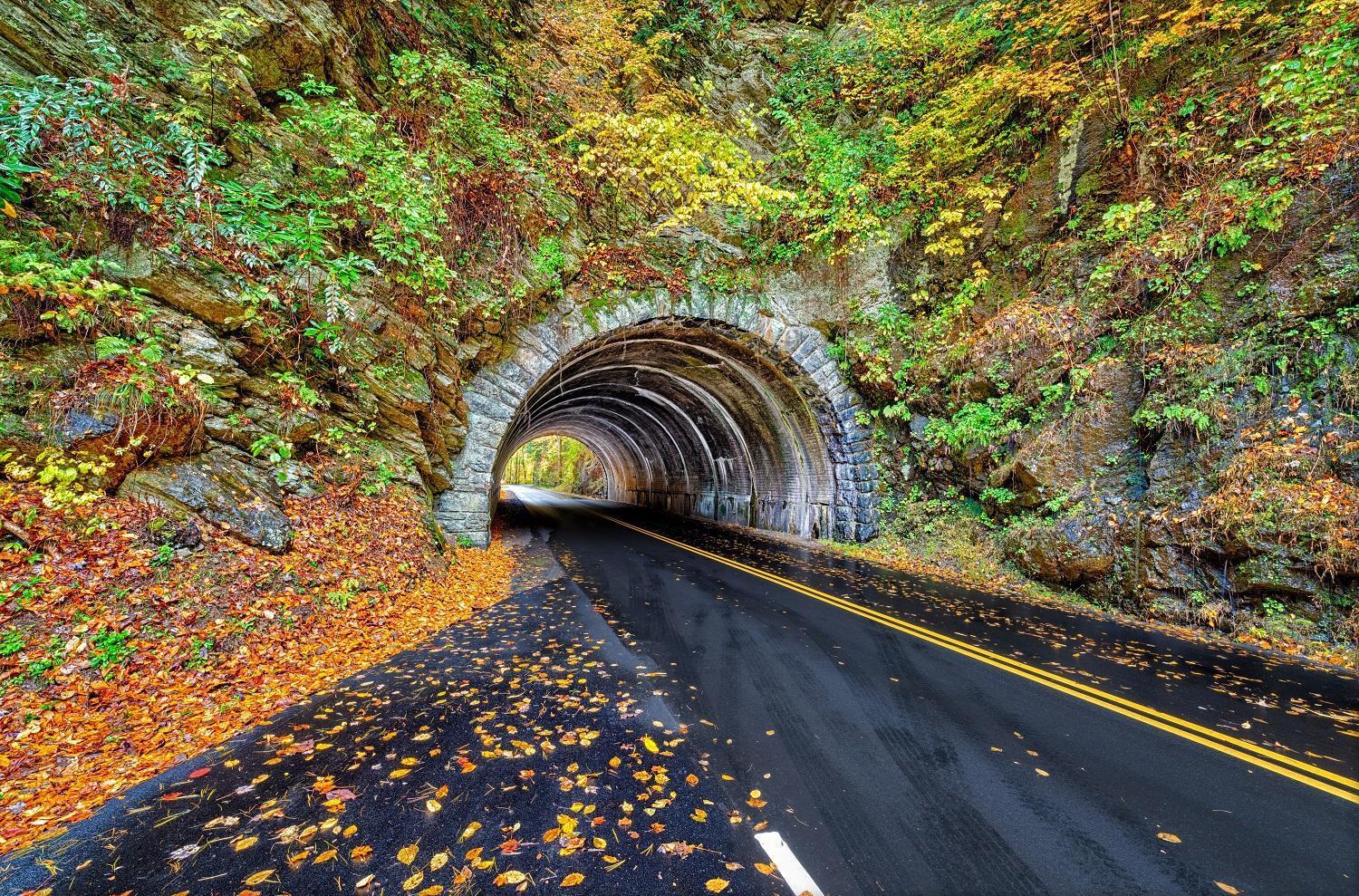 Hemlock Hollow, Pool Access, 1089 Free Tickets Each Paid Day, Dollywood And More เซอเวียร์วีล ภายนอก รูปภาพ