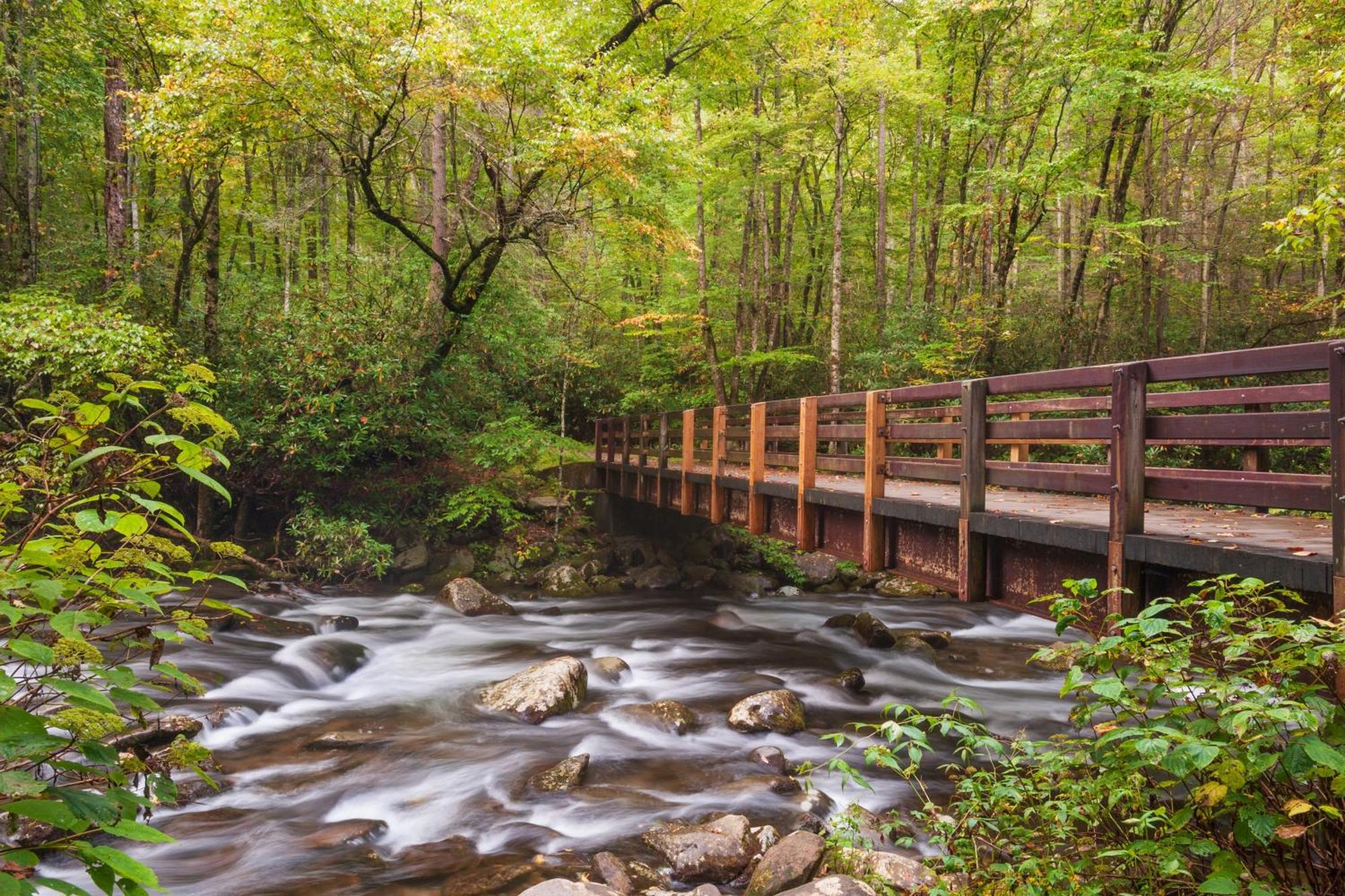 Hemlock Hollow, Pool Access, 1089 Free Tickets Each Paid Day, Dollywood And More เซอเวียร์วีล ภายนอก รูปภาพ